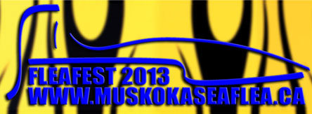 Web-splash-banner-archive