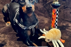 Cardhu-trophy-pose